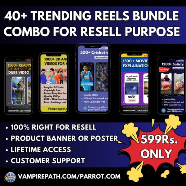 All Reels Bundle